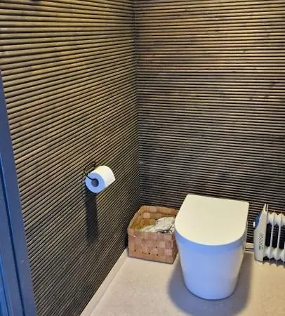 Onnela Sauna Dağ evi