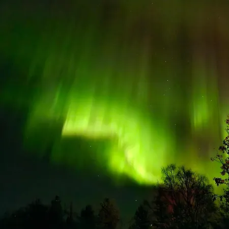 Onnela Sauna Dağ evi *