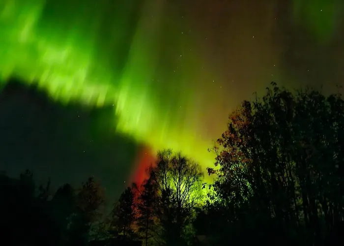 Onnela Sauna בקתה