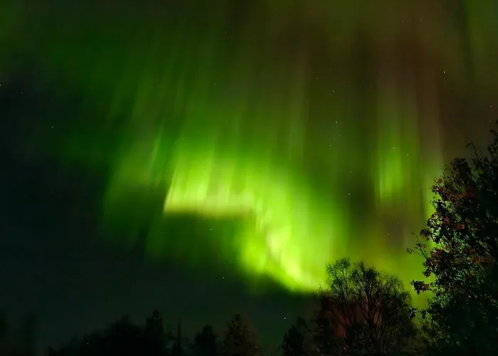 Onnela Sauna בקתה *