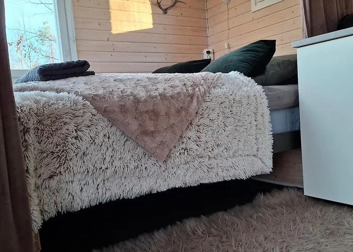 Onnela Sauna בקתה רובניימי